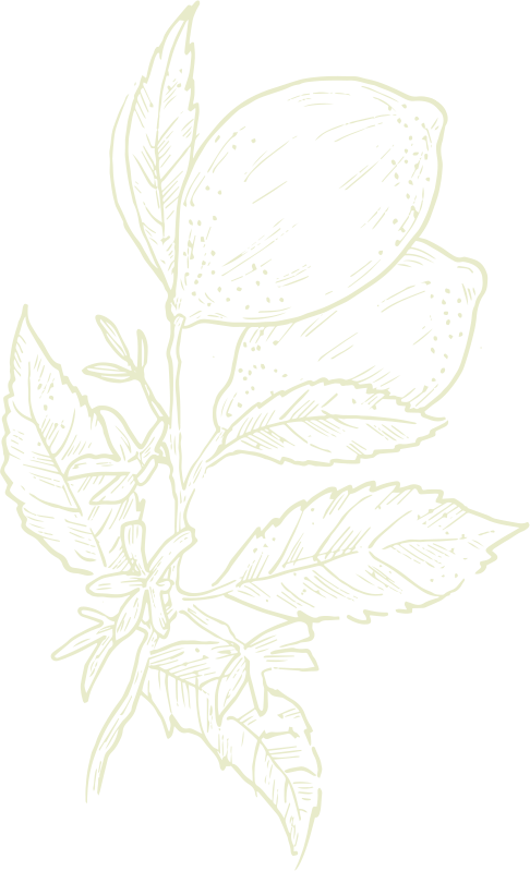A solid pale yellow-green color.